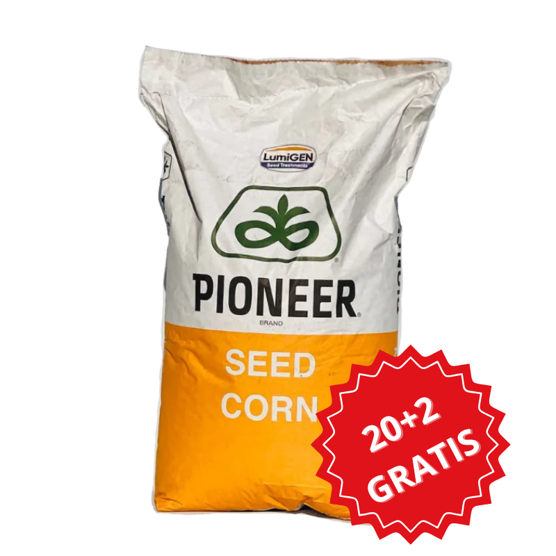 Kukurydza na Ziarno i Kiszonkę Pioneer P9255 80 tys. FAO 280 PAKIET 20+2 GRATIS