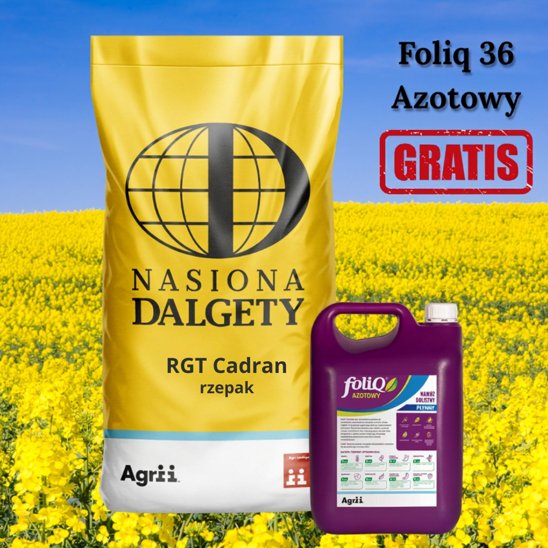 Rzepak ozimy RGT Cadran + Foliq36 gratis