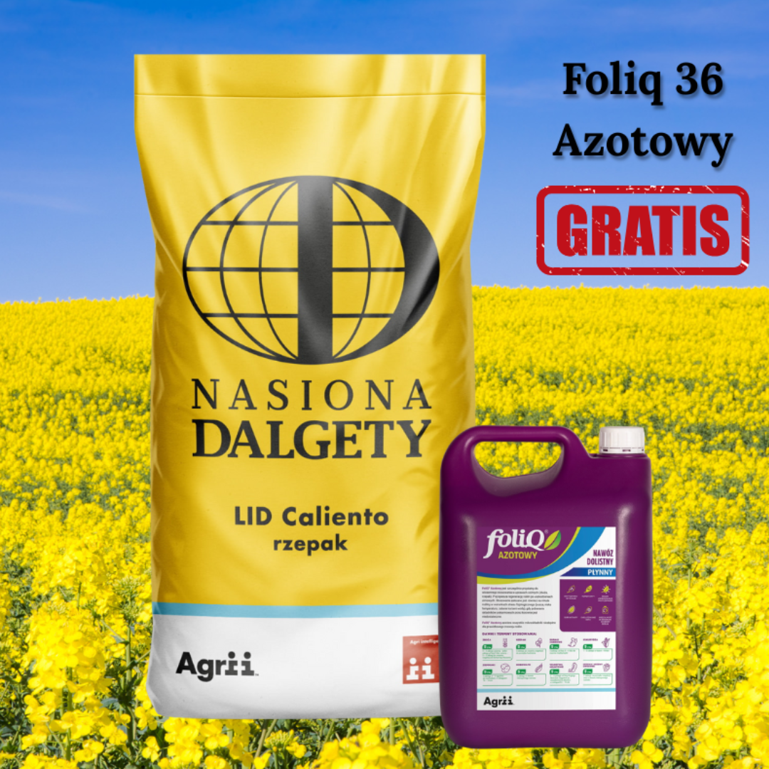 Rzepak ozimy LID Caliento + Foliq36 gratis