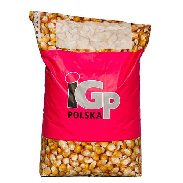 Kukurydza na ziarno i kiszonkę IGP Codizouk 50 tys. FAO 260