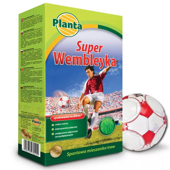 Planta Wembley – Mieszanka Traw na Trawniki Intensywnie Użytkowane