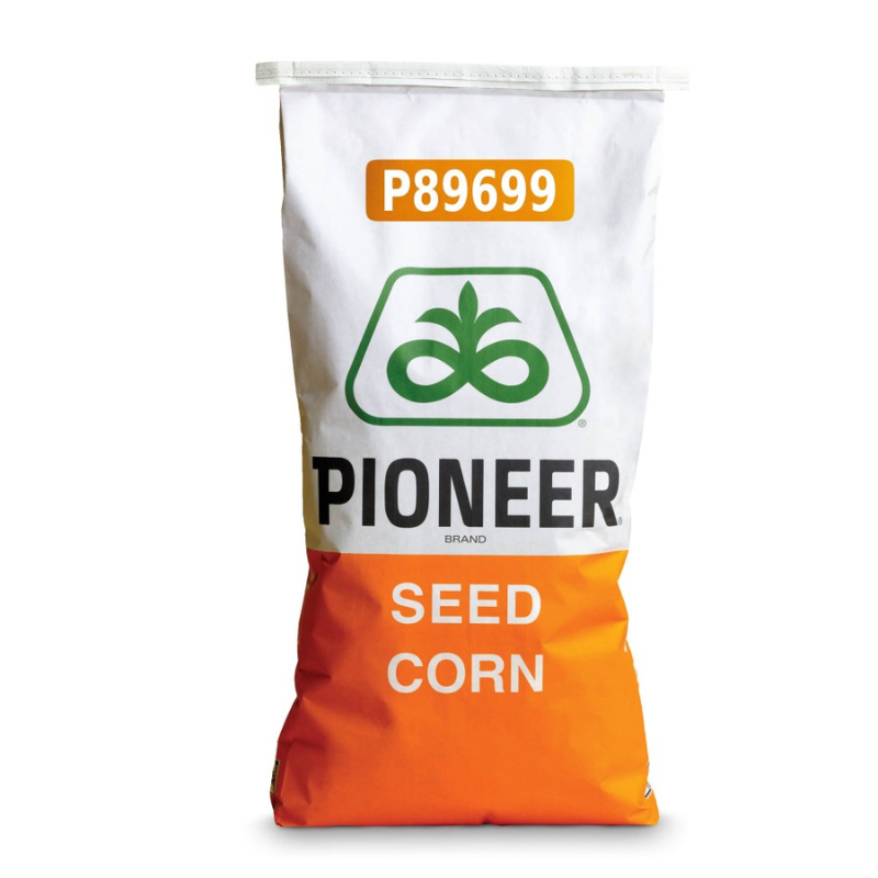 Kukurydza na Ziarno Pioneer P89699 80 tys. FAO 260