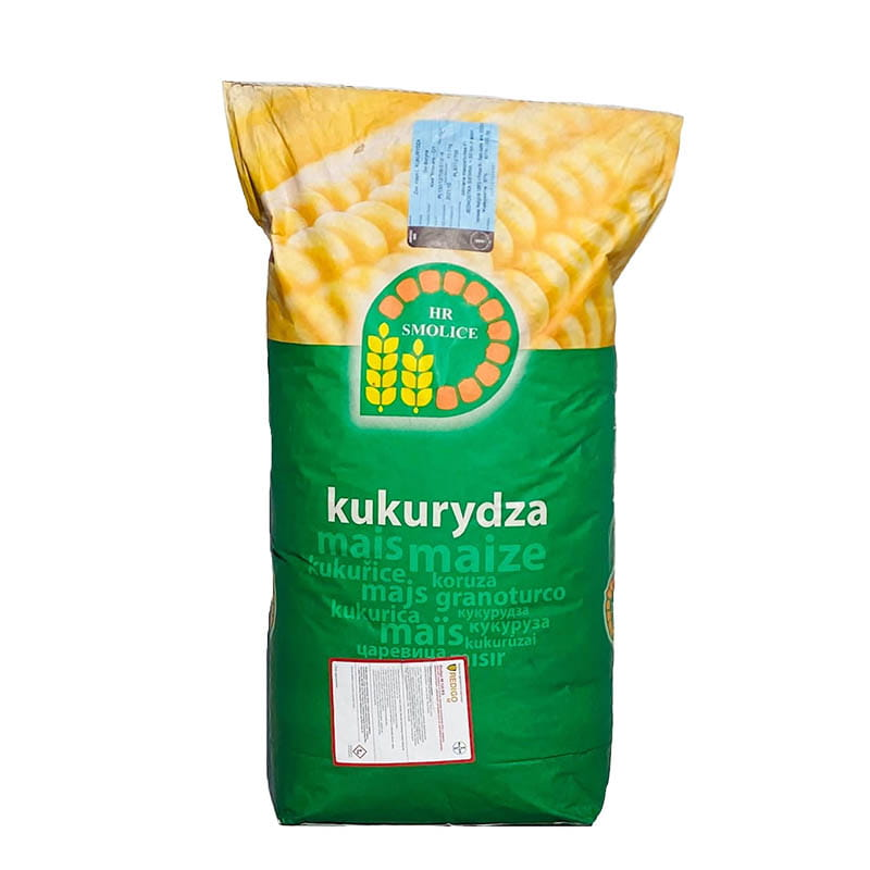 Kukurydza na ziarno i kiszonkę Rosomak 80 tys. FAO 260