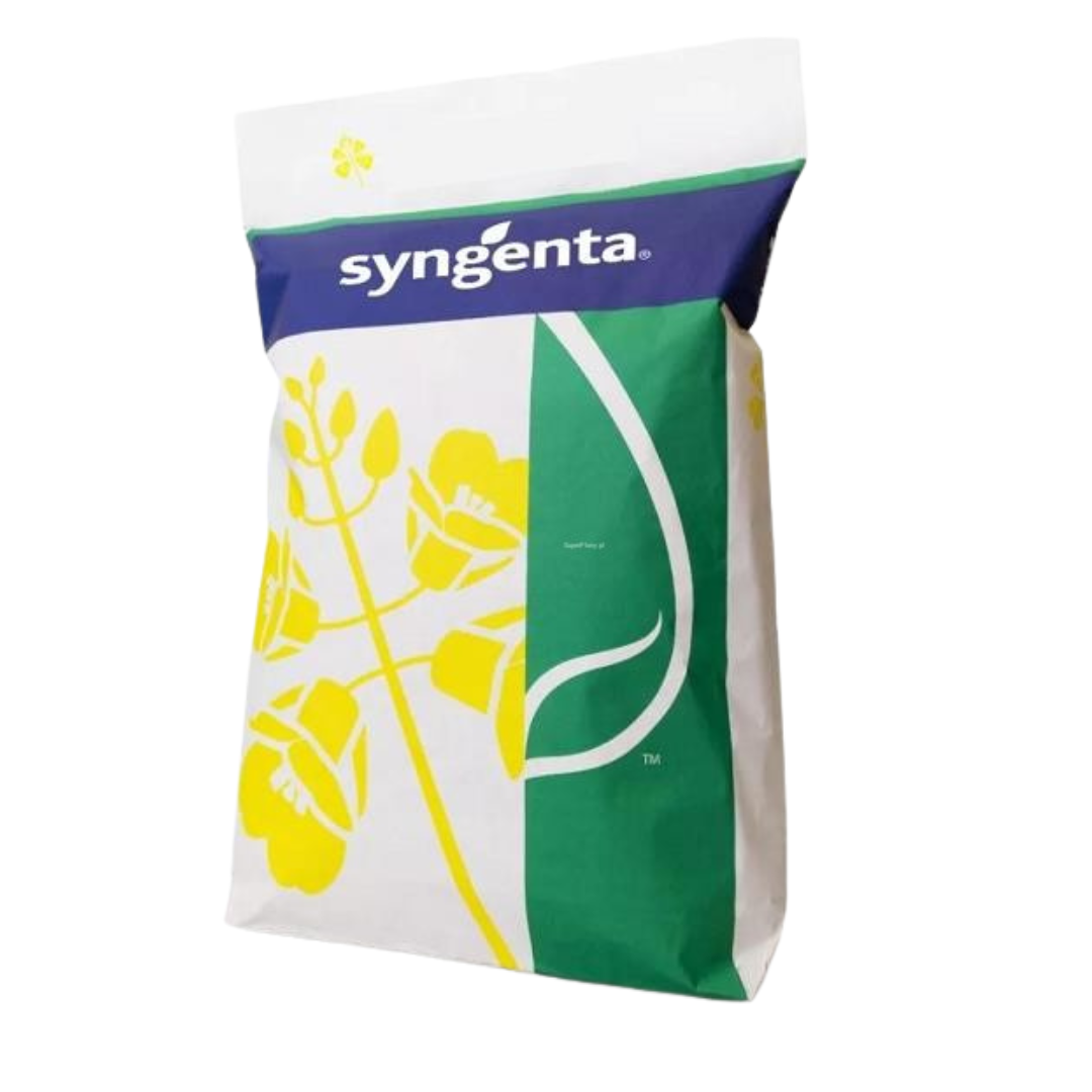 Rzepak ozimy SY Floretta - worek Syngenta