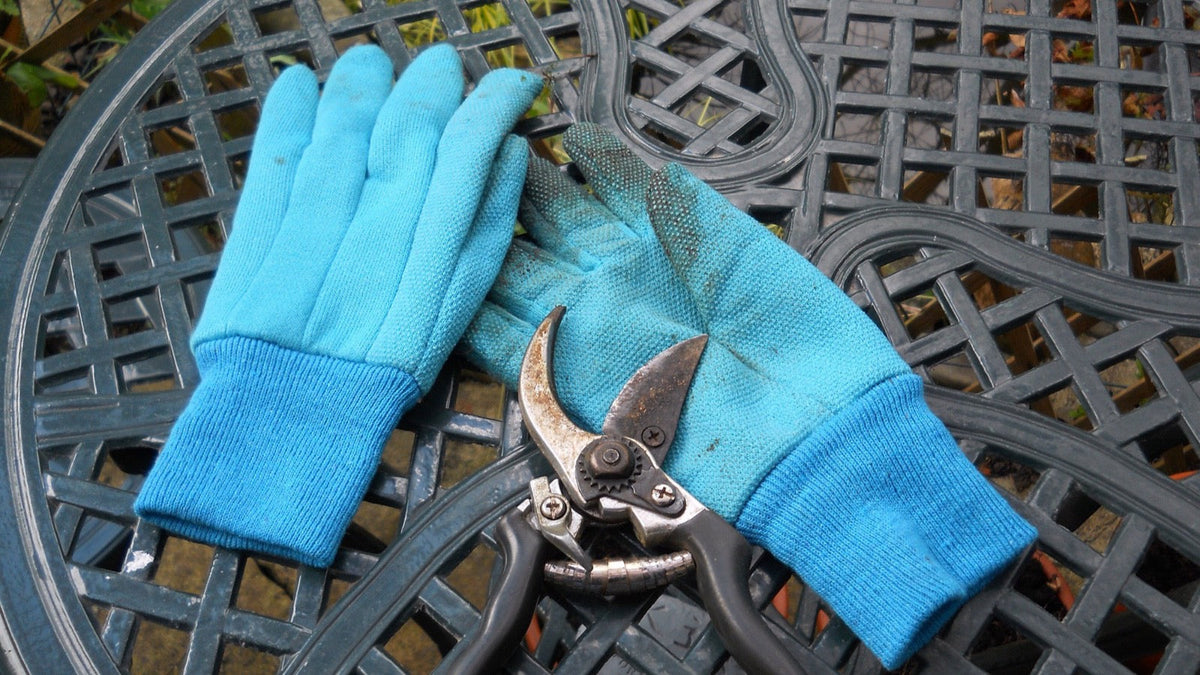 Niebieskie rękawice ogrodowe i sekator leżące na metalowym stole