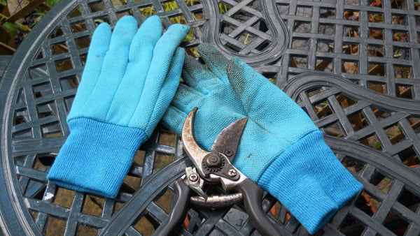Niebieskie rękawice ogrodowe i sekator leżące na metalowym stole