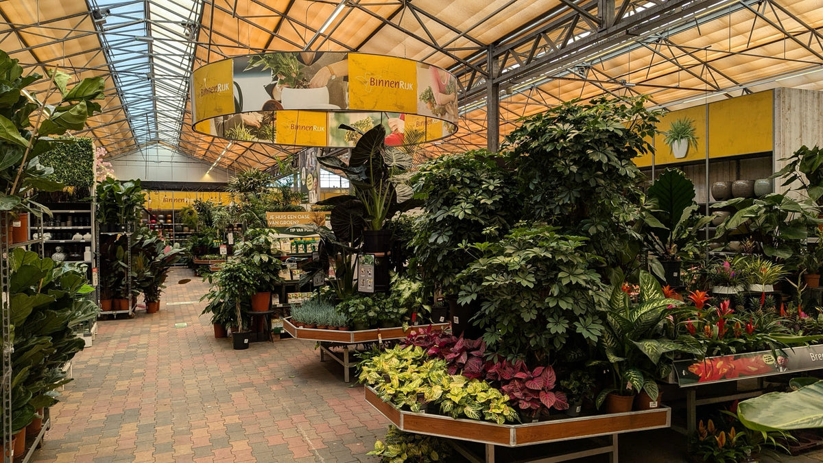 Hala centrum ogrodniczego z roślinami doniczkowymi