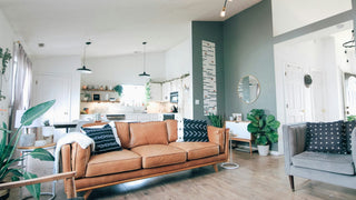 Jasny salon z skórzaną sofą i roślinami