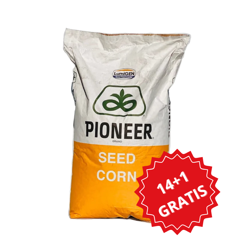 Kukurydza na Ziarno i Kiszonkę Pioneer P8904 80 tys. FAO 250 PAKIET 14+1 GRATIS