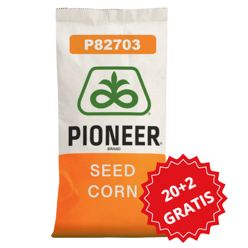 Kukurydza na Kiszonkę Pioneer P82703 80 tys. FAO 250 Pakiet 20+2 GRATIS