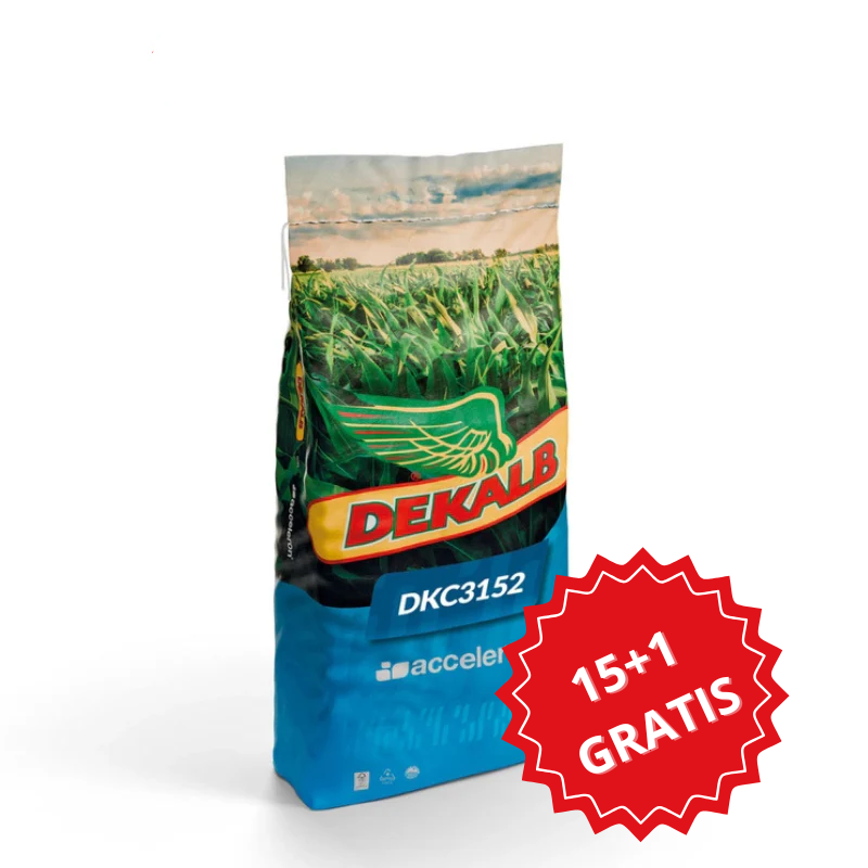 Kukurydza na Ziarno DKC 3152 Pakiet 15+1 GRATIS 50 tys. FAO 220