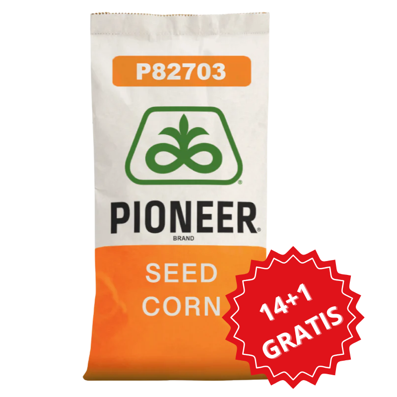 Kukurydza na Kiszonkę Pioneer P82703 80 tys. FAO 250 Pakiet 14+1 GRATIS