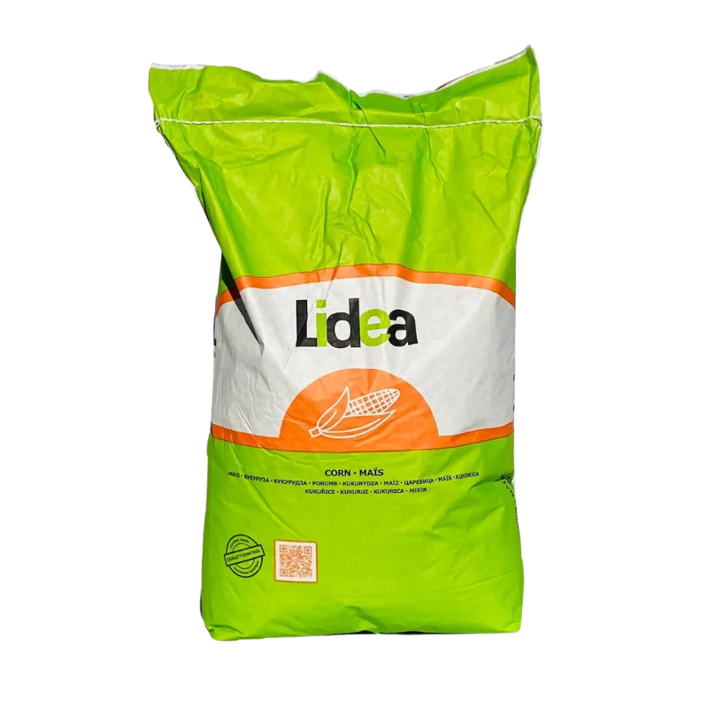 Kukurydza na Kiszonkę ES Islander 50 tys. FAO 240