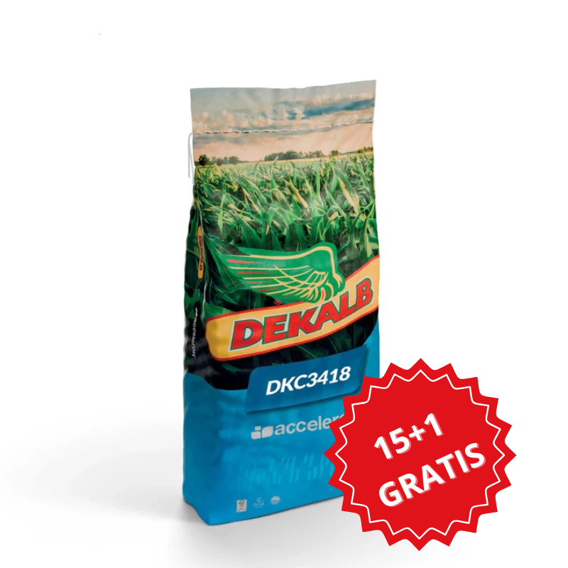 Kukurydza na Kiszonkę DKC3418 Pakiet 15+1 GRATIS 50 tys. FAO 260
