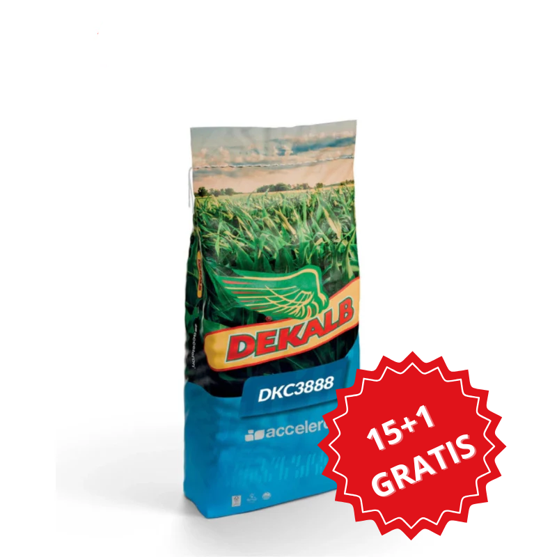 Kukurydza na Ziarno DKC3888 Pakiet 15+1 GRATIS 50 tys. FAO 270