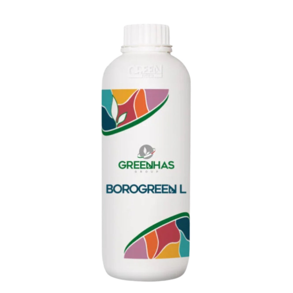 Borogreen Green Eco Poland