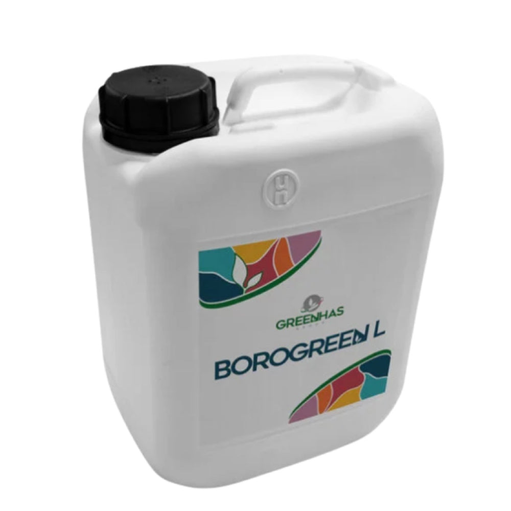 Borogreen Green Eco Poland