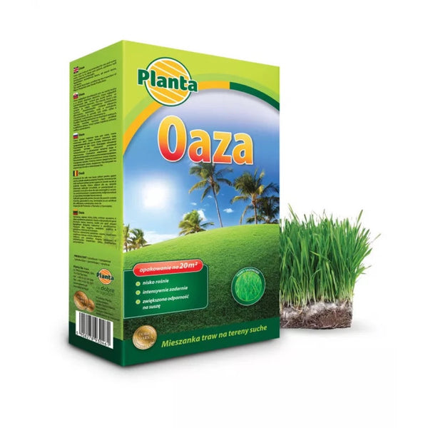 Planta Oaza - Mieszanka Traw na Tereny Suche i Słoneczne