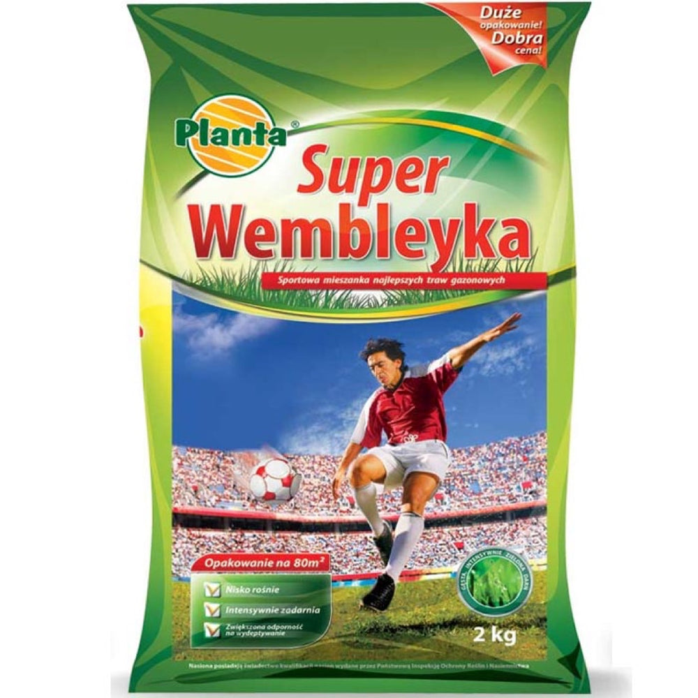 Planta Wembley - Mieszanka Traw na Trawniki Intensywnie Użytkowane