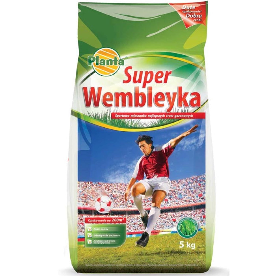 Planta Wembley - Mieszanka Traw na Trawniki Intensywnie Użytkowane