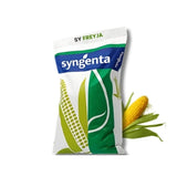 Kukurydza SY Freyja Syngenta, opakowanie nasion