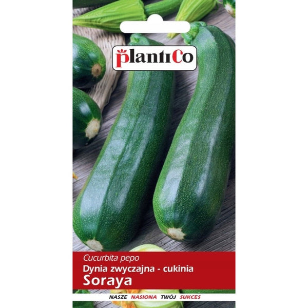 Opakowanie nasion: Cukinia Soraya, PlantiCo, 3 g