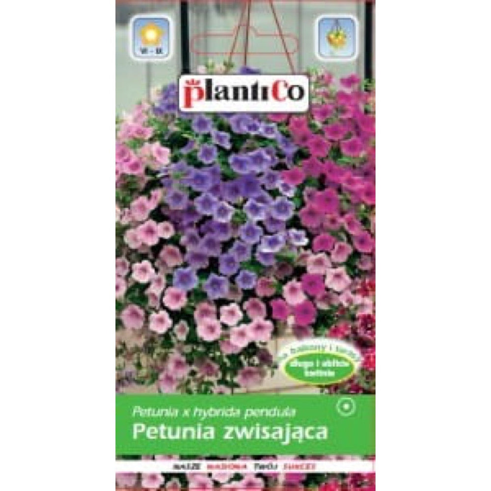 Petunia zwisająca PlantiCo, nasiona kwiatów