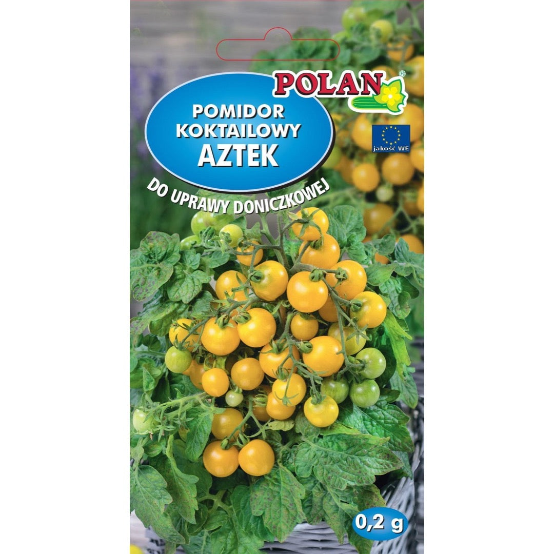 Pomidor koktajlowy Aztek PlantiCo, nasiona 0,2 g