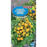 Pomidor koktajlowy Aztek PlantiCo, nasiona 0,2 g