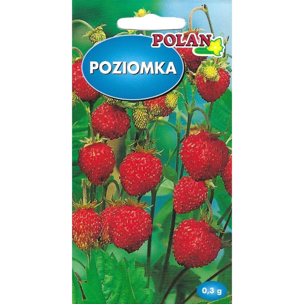 Poziomka bezrozłogowa Regina PlantiCo, nasiona