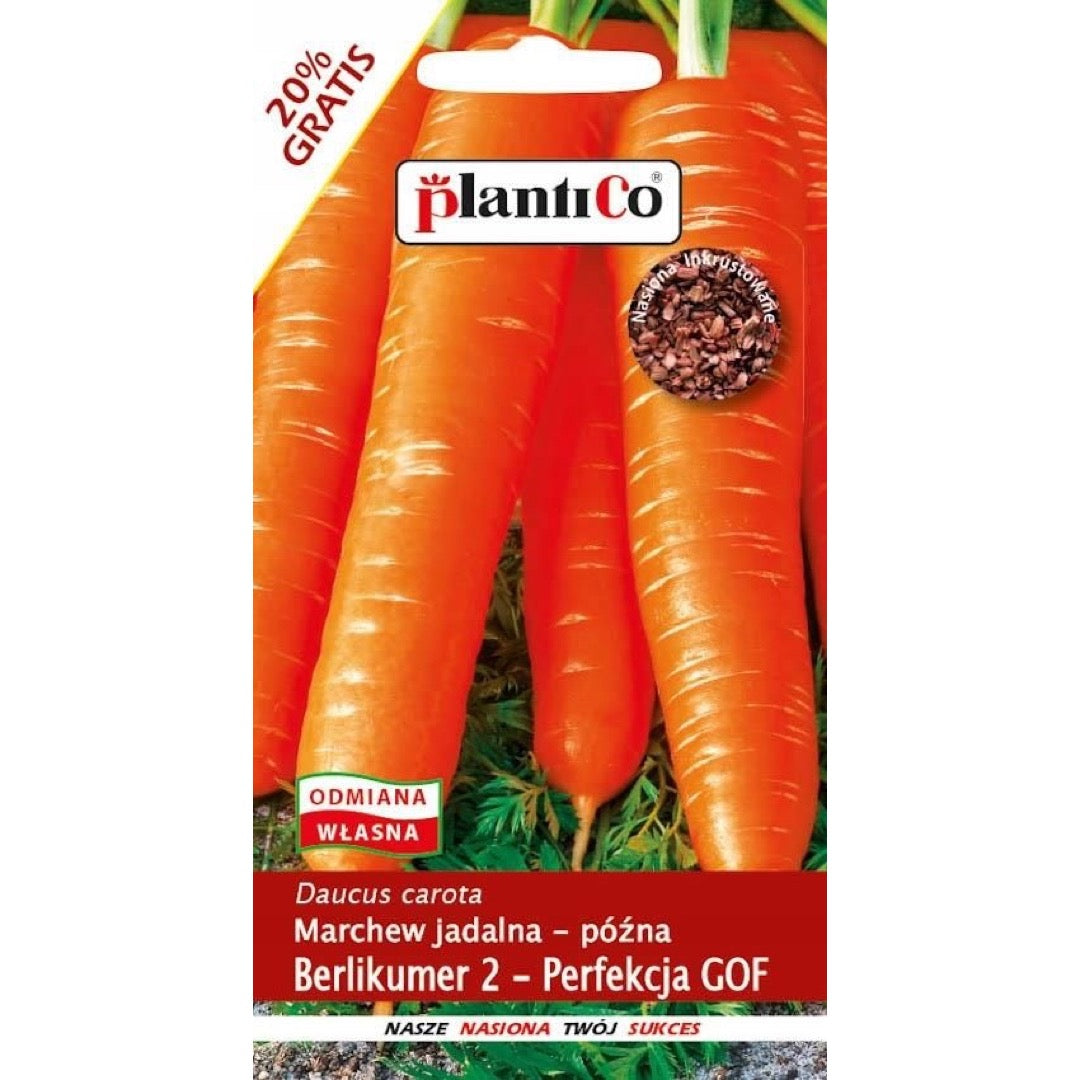 Marchew jadalna Berlikumer 2 Perfekcja GOF PlantiCo, opakowanie nasion 6 g