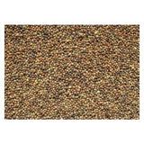 Koniczyna perska Laser, nasiona kwalifikowane C/1, 1 kg
