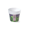 Doniczka IML Prosperplast DML140H1 i DML160H3