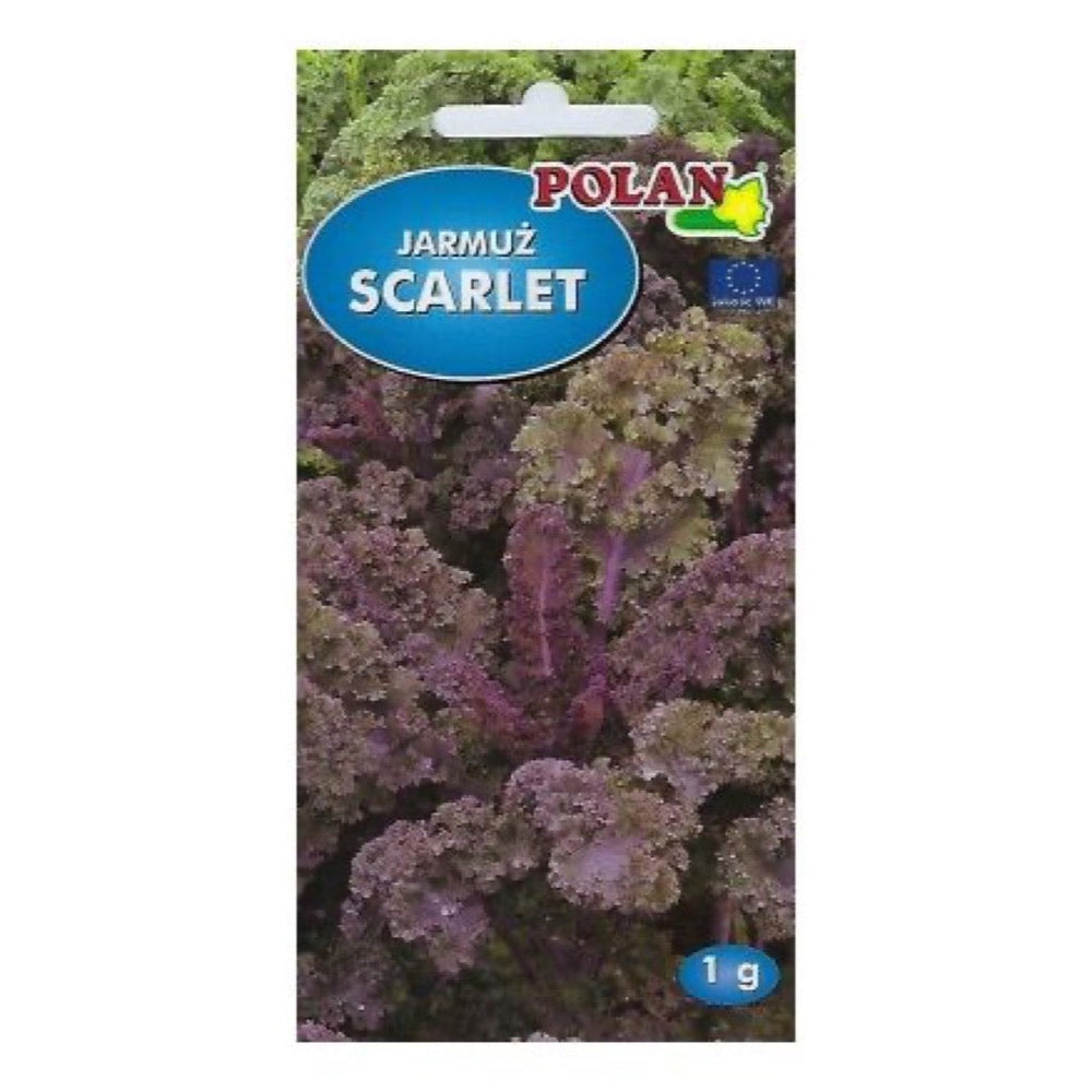 Jarmuż kędzierzawy Scarlet Polan, opakowanie nasion 1 g