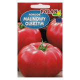 Pomidor gruntowy Malinowy Olbrzym Polan, opakowanie nasion 0,5 g