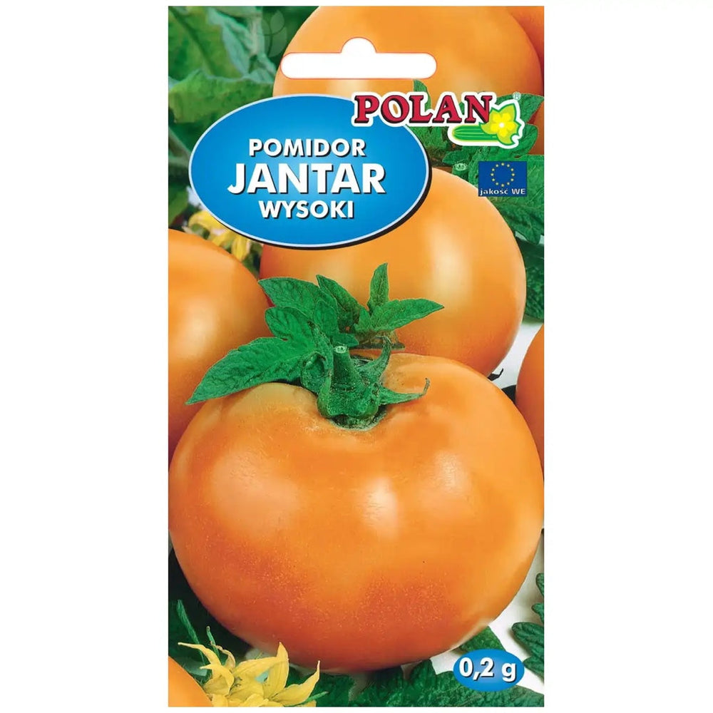 Pomidor gruntowy wysoki Jantar Polan, opakowanie nasion 0,2 g