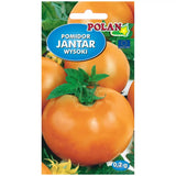 Pomidor gruntowy wysoki Jantar Polan, opakowanie nasion 0,2 g