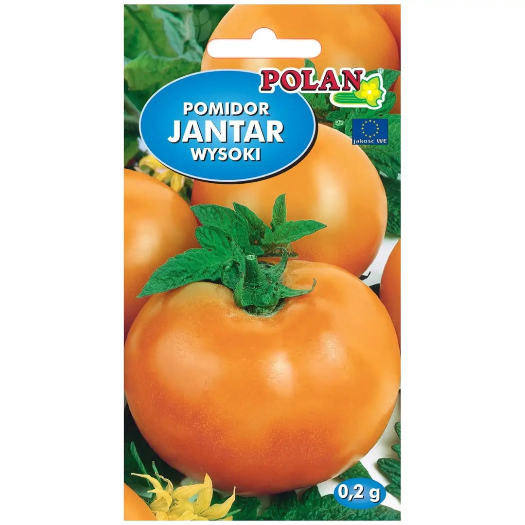 Pomidor gruntowy wysoki Jantar Polan, opakowanie nasion 0,2 g