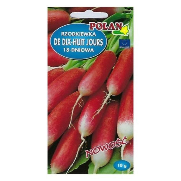 Rzodkiewka De dix-huit jours Polan, opakowanie nasion 10 g