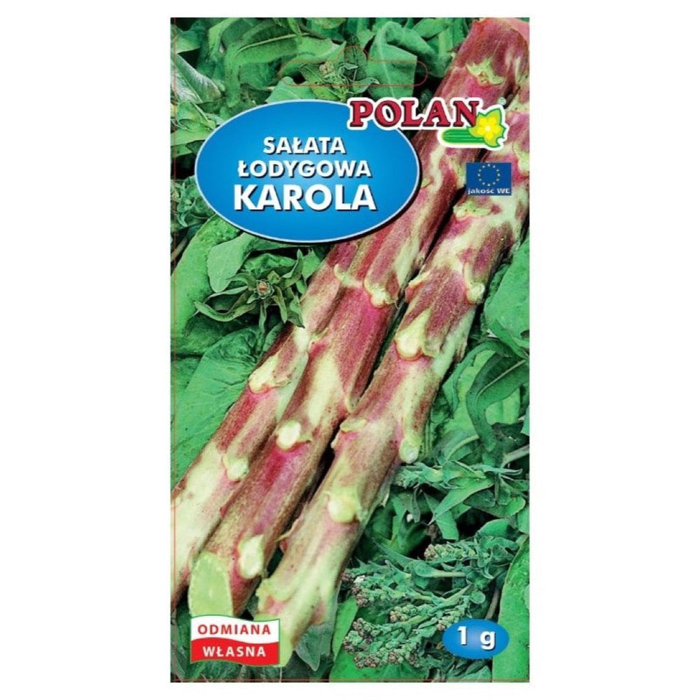 Sałata łodygowa Karola Polan, opakowanie nasion 1 g