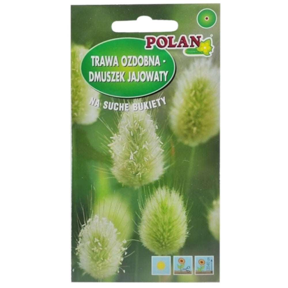 Trawa ozdobna Dmuszek jajowaty Polan, opakowanie nasion 0,5 g