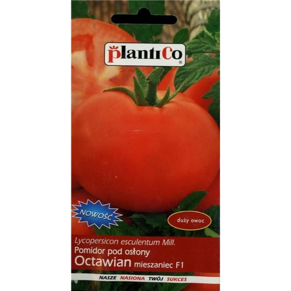 Pomidor Oktawian PlantiCo, opakowanie nasion 0,1 g