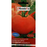 Pomidor Oktawian PlantiCo, opakowanie nasion 0,1 g