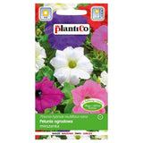 Petunia ogrodowa mieszanka PlantiCo, opakowanie nasion 0,05 g