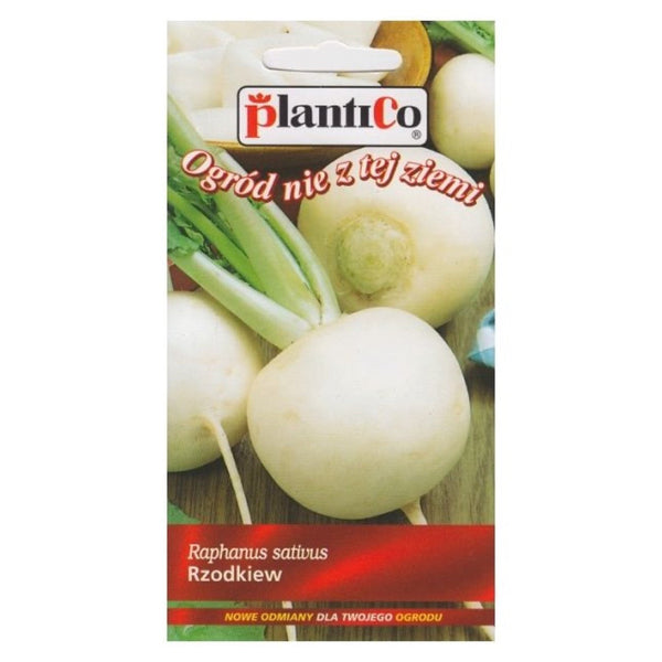 Rzodkiewka Runder Weisser PlantiCo, opakowanie nasion 5 g