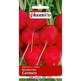 Opakowanie nasion: Rzodkiewka Carmen, PlantiCo, 10 g