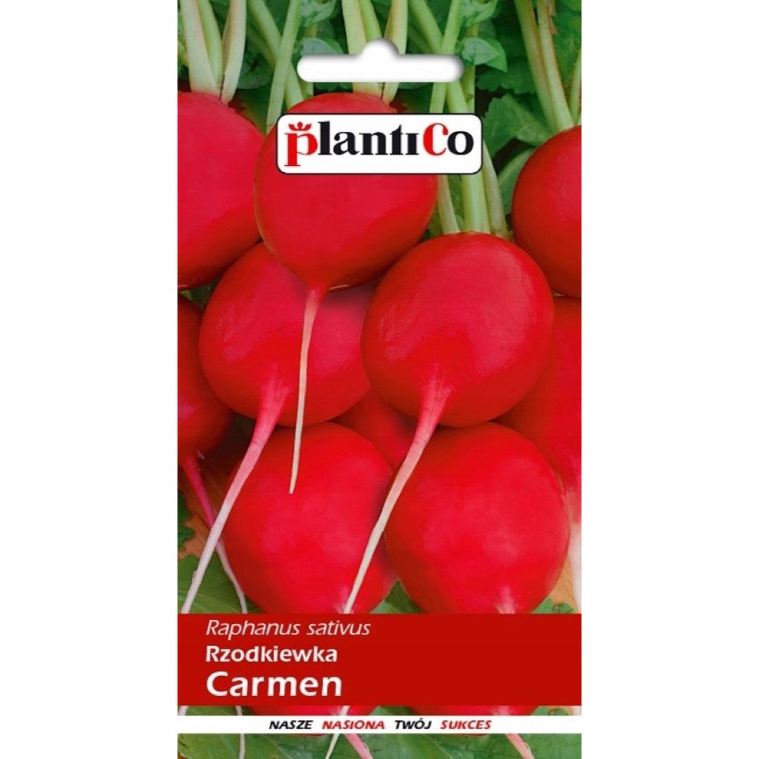 Opakowanie nasion: Rzodkiewka Carmen, PlantiCo, 10 g