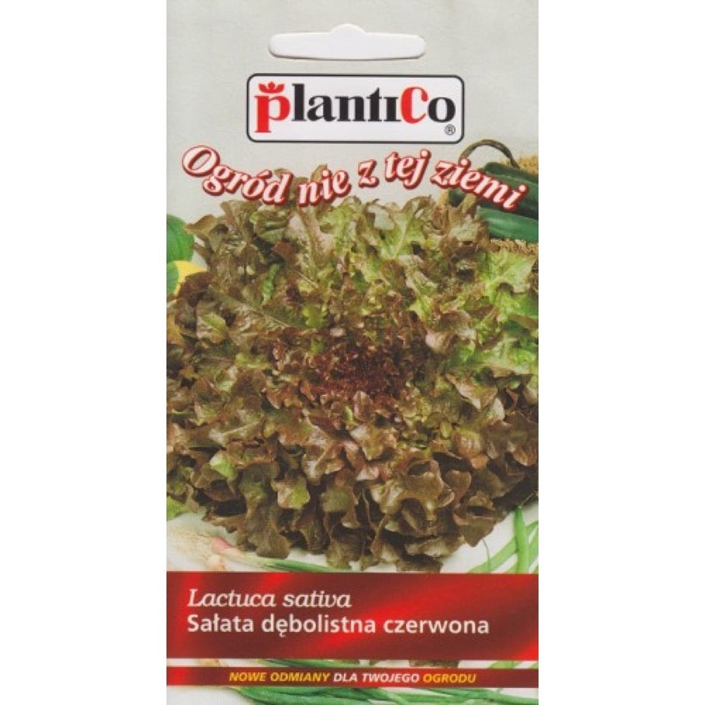Opakowanie nasion: Sałata dębolistna czerwona Redin, PlantiCo
