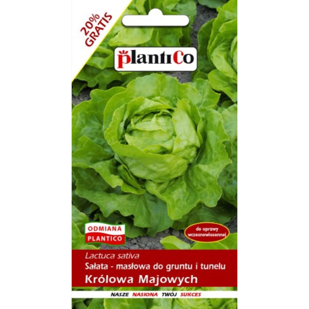 Opakowanie nasion: Sałata masłowa Królowa Majowych, PlantiCo