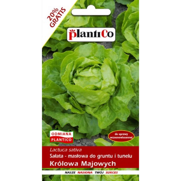 Opakowanie nasion: Sałata masłowa Królowa Majowych, PlantiCo
